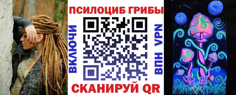 Галлюциногенные грибы GOLDEN TEACHER  omg зеркало  Николаевск  дарнет шоп 